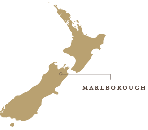 Marlborough New Zealand